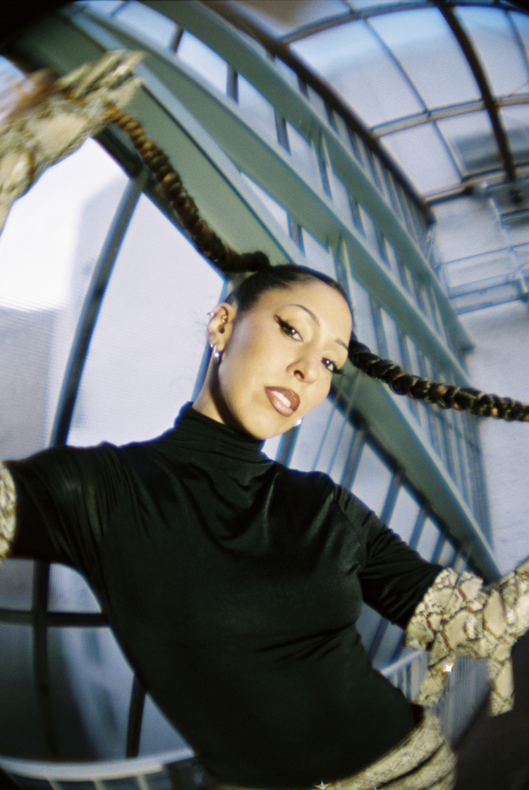 meg様 Diezel 412 RV 280-watt Rear-loaded 4x12-inch Cabinet with Vintage